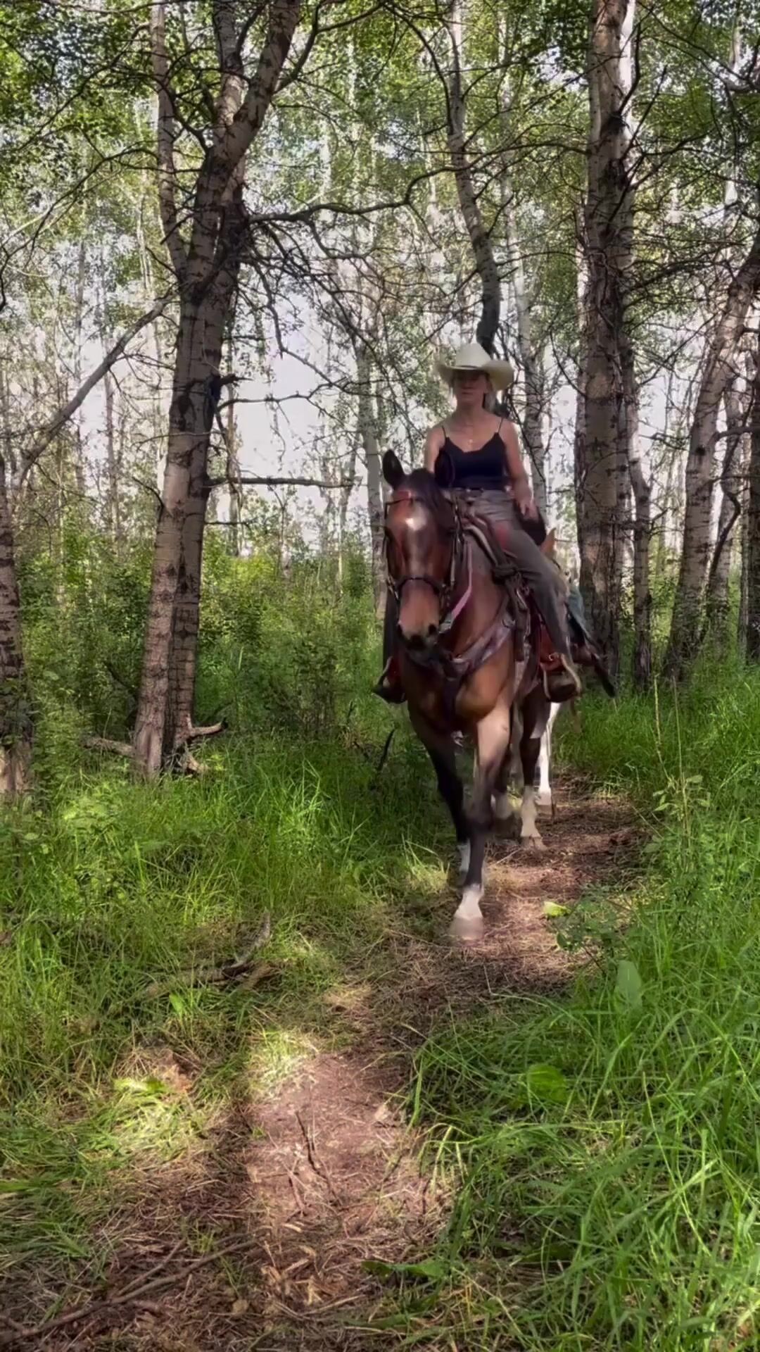 Horseback Riding, Trail Rides, Summer Camps, Western Riding Lessons ...