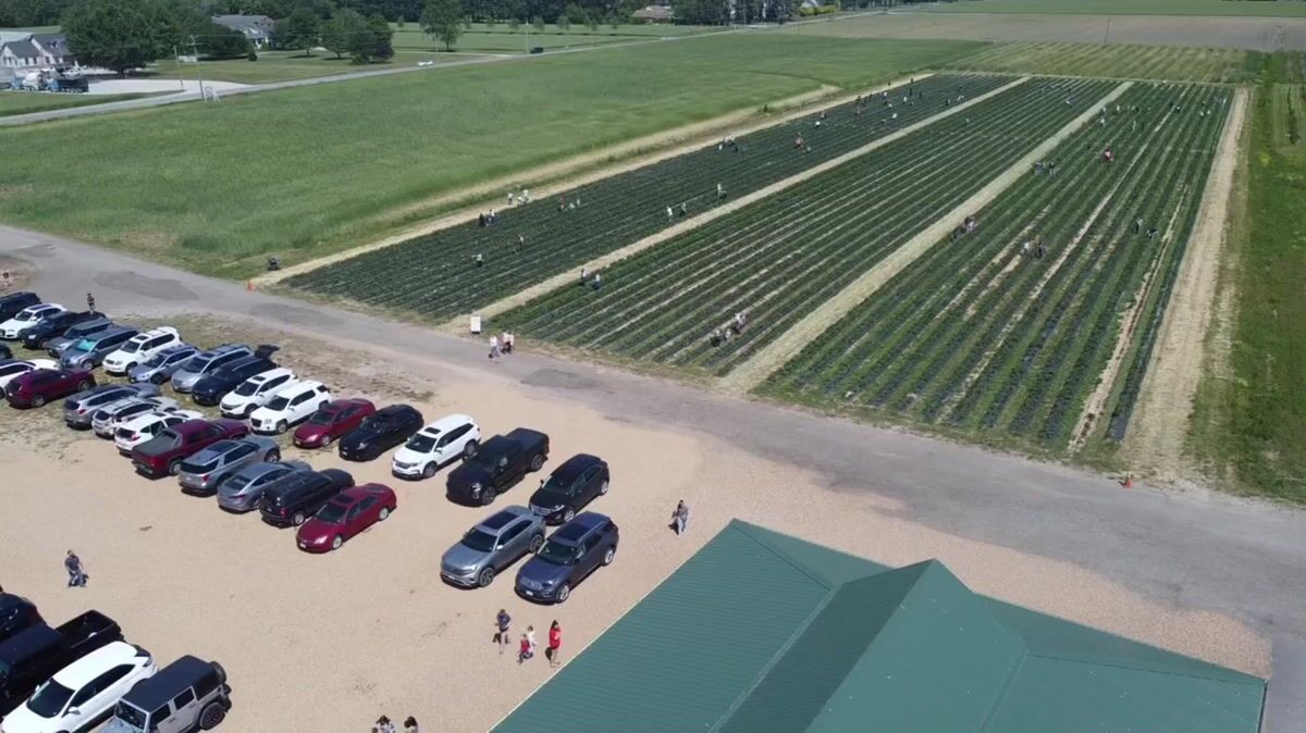 Pungo Ridge's Finest | Cullipher Farm