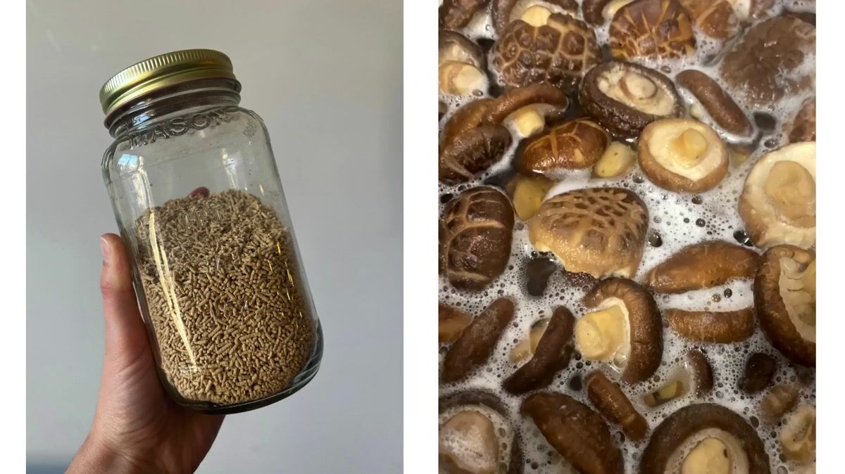 Blog Chicken Shiitake & Wood Ear Yee Mama Wontons Cincinnati