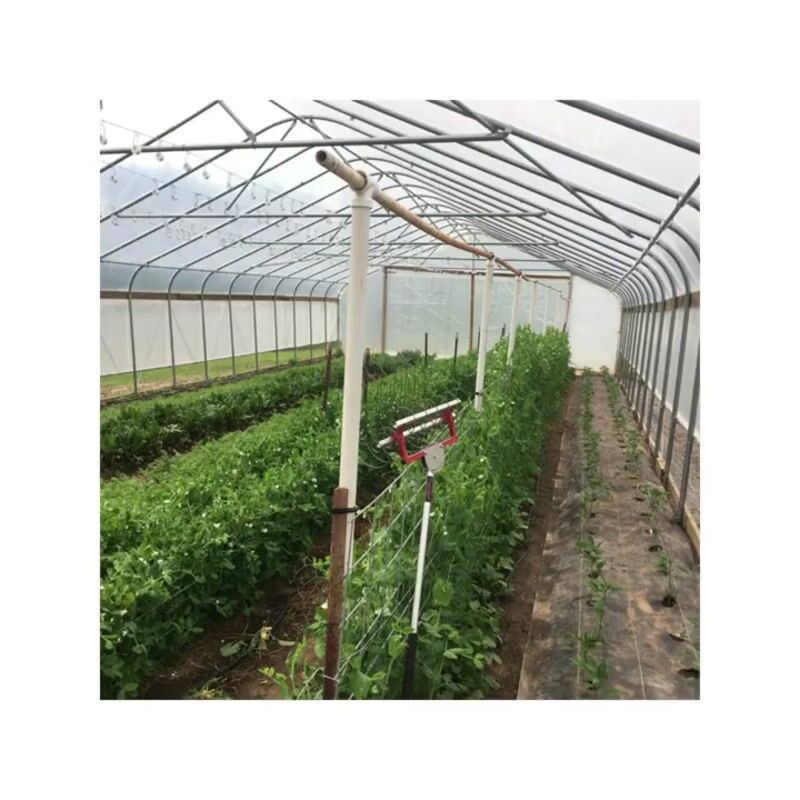 Video Player is loading.