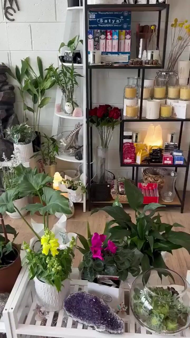 My Launceston Florist My Florist Launceston Tasmania 2/222 Wellington