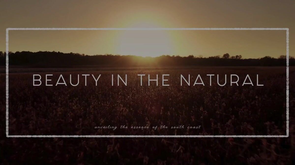 Healthmade Tallow Chemical Free, Local, AnimalBased SkinCare