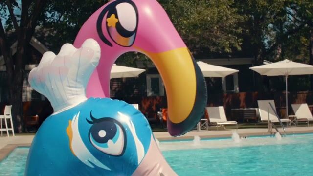 Welcome to Dive-In | Lee Harvey's Dive In