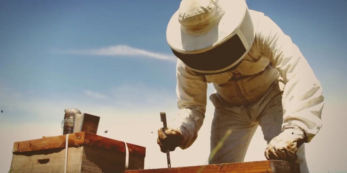 Video Player is loading.